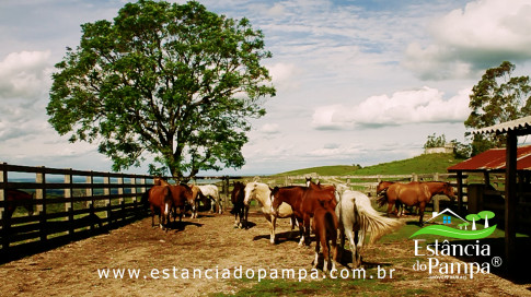 INICIO INICIO.00_03_31_04.Quadro039_85c79af0e358819a79afdf3958d143230f0d7a69.jpg